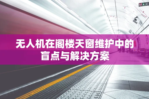 无人机在阁楼天窗维护中的盲点与解决方案