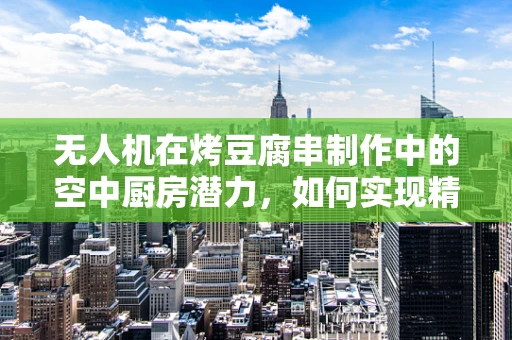无人机在烤豆腐串制作中的空中厨房潜力，如何实现精准食材配送？