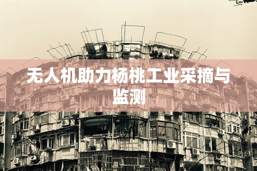 无人机助力杨桃工业采摘与监测