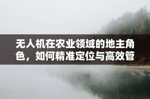 无人机在农业领域的地主角色，如何精准定位与高效管理？