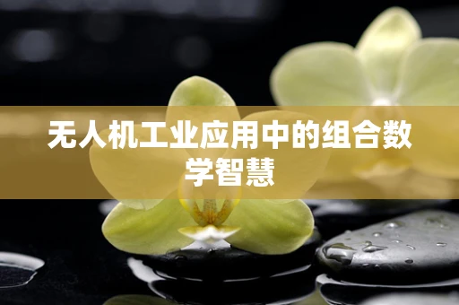无人机工业应用中的组合数学智慧