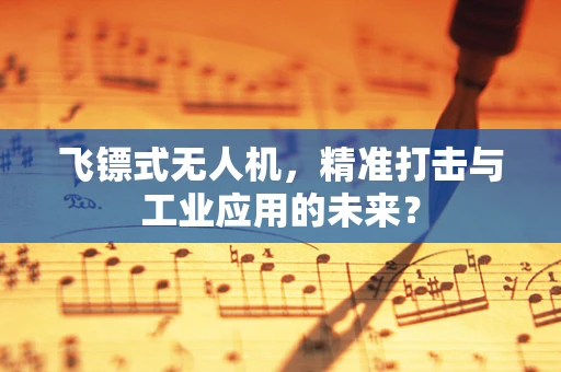 飞镖式无人机，精准打击与工业应用的未来？