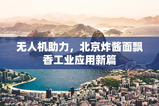 无人机助力，北京炸酱面飘香工业应用新篇