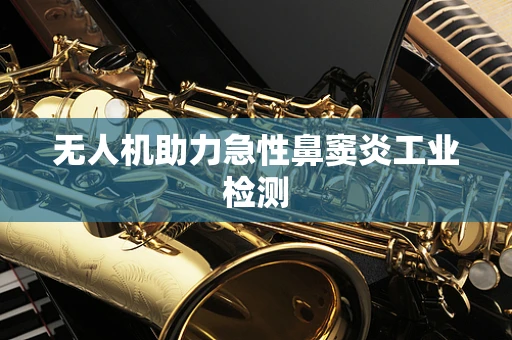 无人机助力急性鼻窦炎工业检测