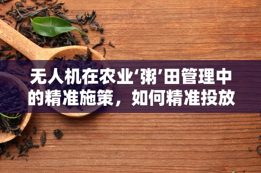 无人机在农业‘粥’田管理中的精准施策，如何精准投放营养液？