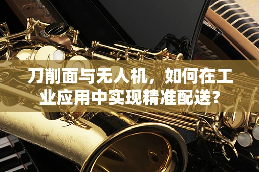 刀削面与无人机，如何在工业应用中实现精准配送？