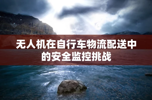 无人机在自行车物流配送中的安全监控挑战