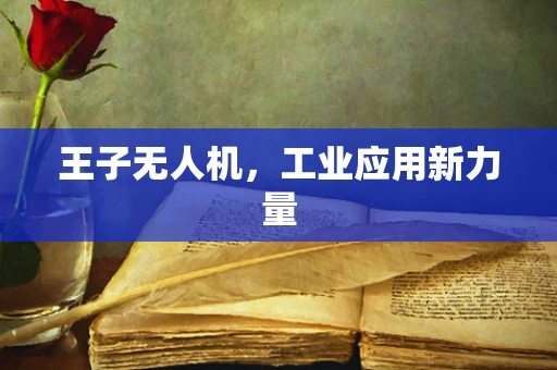 王子无人机，工业应用新力量