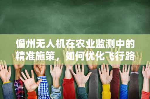 儋州无人机在农业监测中的精准施策，如何优化飞行路径以提升监测效率？