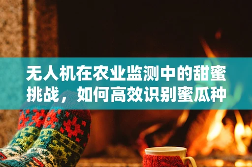 无人机在农业监测中的甜蜜挑战，如何高效识别蜜瓜种植区的病虫害？