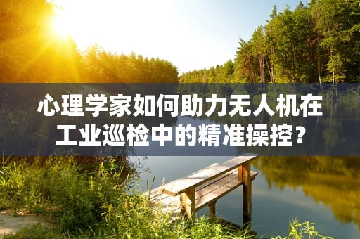 心理学家如何助力无人机在工业巡检中的精准操控？