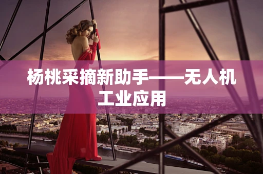 杨桃采摘新助手——无人机工业应用