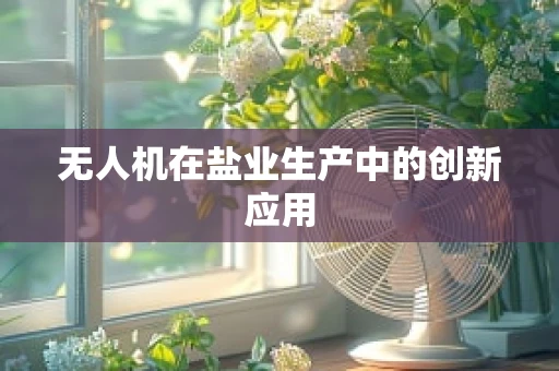 无人机在盐业生产中的创新应用