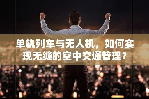 单轨列车与无人机，如何实现无缝的空中交通管理？