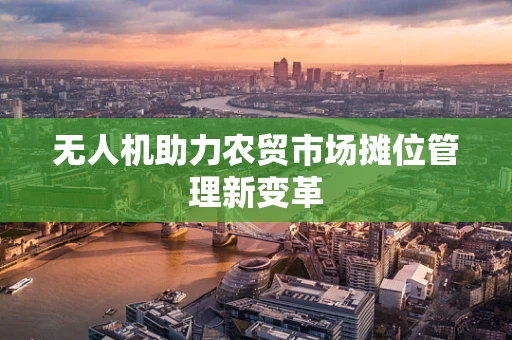 无人机助力农贸市场摊位管理新变革