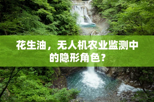 花生油，无人机农业监测中的隐形角色？