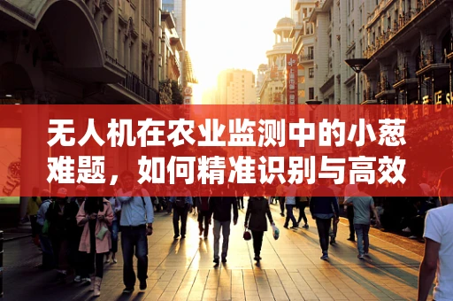 无人机在农业监测中的小葱难题，如何精准识别与高效管理？