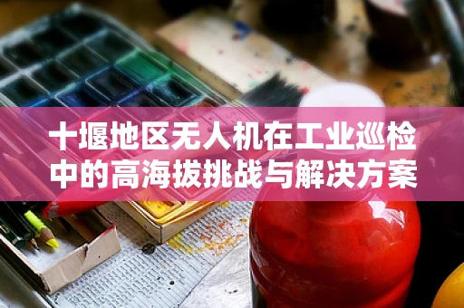 十堰地区无人机在工业巡检中的高海拔挑战与解决方案
