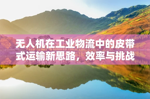 无人机在工业物流中的皮带式运输新思路，效率与挑战并存？