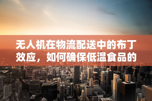 无人机在物流配送中的布丁效应，如何确保低温食品的稳定运输？