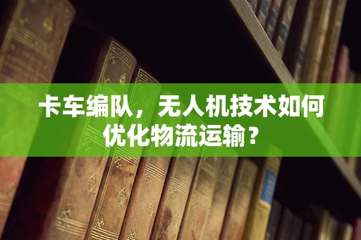 卡车编队，无人机技术如何优化物流运输？