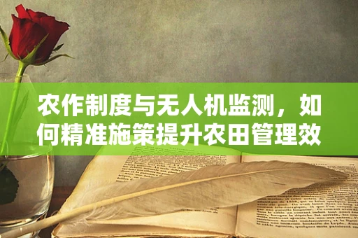 农作制度与无人机监测，如何精准施策提升农田管理效率？