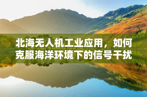 北海无人机工业应用，如何克服海洋环境下的信号干扰？
