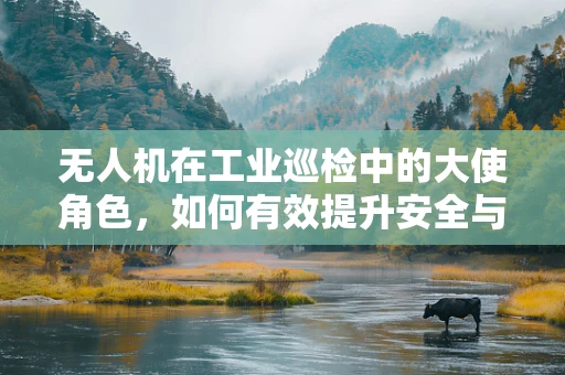 无人机在工业巡检中的大使角色，如何有效提升安全与效率？