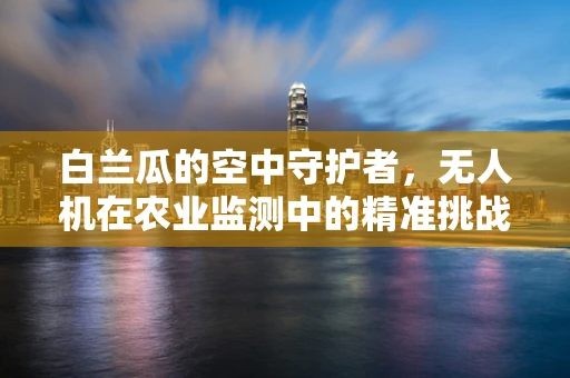 白兰瓜的空中守护者，无人机在农业监测中的精准挑战