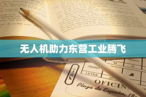 无人机助力东营工业腾飞
