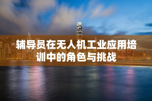 辅导员在无人机工业应用培训中的角色与挑战