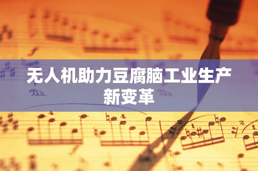 无人机助力豆腐脑工业生产新变革
