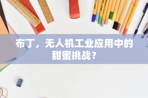 布丁，无人机工业应用中的甜蜜挑战？