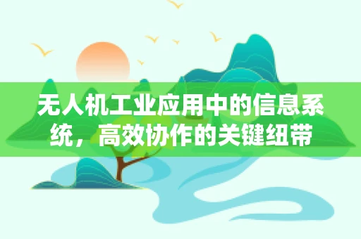 无人机工业应用中的信息系统，高效协作的关键纽带