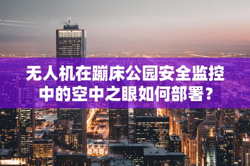 无人机在蹦床公园安全监控中的空中之眼如何部署？