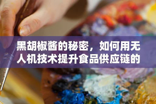 黑胡椒酱的秘密，如何用无人机技术提升食品供应链的效率？