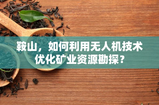 鞍山，如何利用无人机技术优化矿业资源勘探？