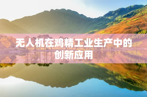 无人机在鸡精工业生产中的创新应用