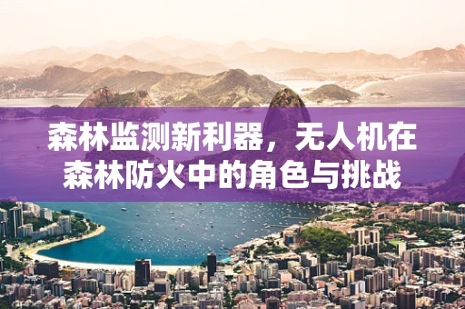 森林监测新利器，无人机在森林防火中的角色与挑战