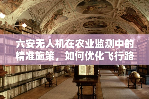 六安无人机在农业监测中的精准施策，如何优化飞行路径以提升监测效率？