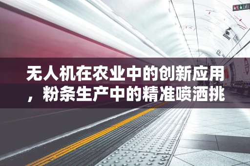 无人机在农业中的创新应用，粉条生产中的精准喷洒挑战