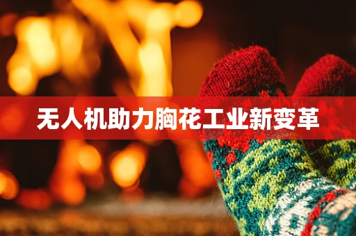无人机助力胸花工业新变革