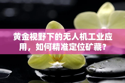 黄金视野下的无人机工业应用，如何精准定位矿藏？
