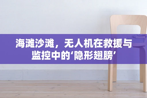 海滩沙滩，无人机在救援与监控中的‘隐形翅膀’