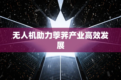 无人机助力荸荠产业高效发展