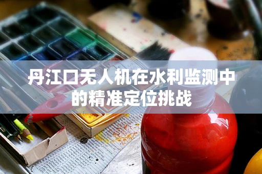 丹江口无人机在水利监测中的精准定位挑战