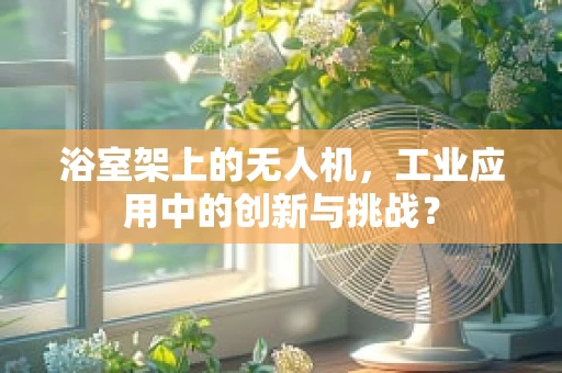 浴室架上的无人机，工业应用中的创新与挑战？