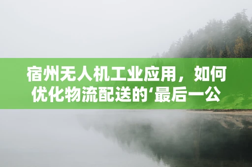 宿州无人机工业应用，如何优化物流配送的‘最后一公里’？