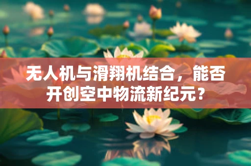 无人机与滑翔机结合，能否开创空中物流新纪元？