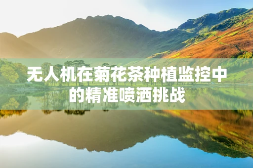 无人机在菊花茶种植监控中的精准喷洒挑战